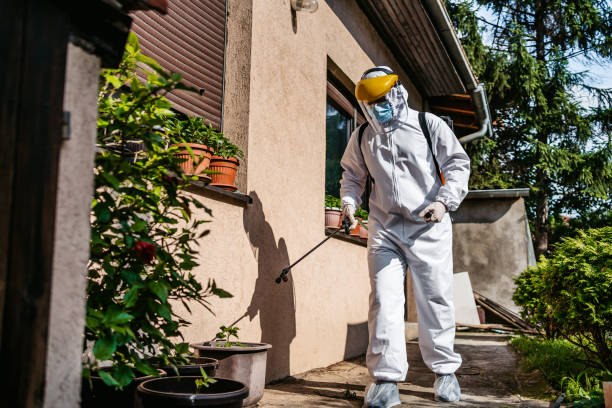 Best Affordable Pest Control Services  in Clintwood, VA