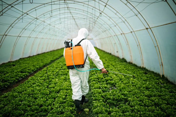 Best Pest Prevention Services  in Clintwood, VA