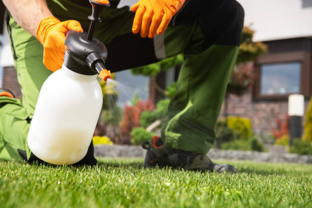 Best Pest Removal Services  in Clintwood, VA