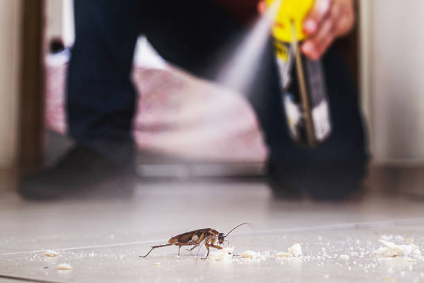 Best Emergency Pest Control  in Clintwood, VA