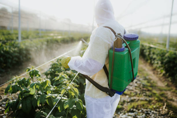 Best Wasp Removal Services  in Clintwood, VA